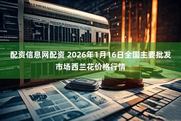 配资信息网配资 2026年1月16日全国主要批发市场西兰花价格行情