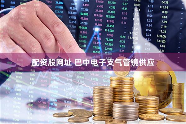 配资股网址 巴中电子支气管镜供应